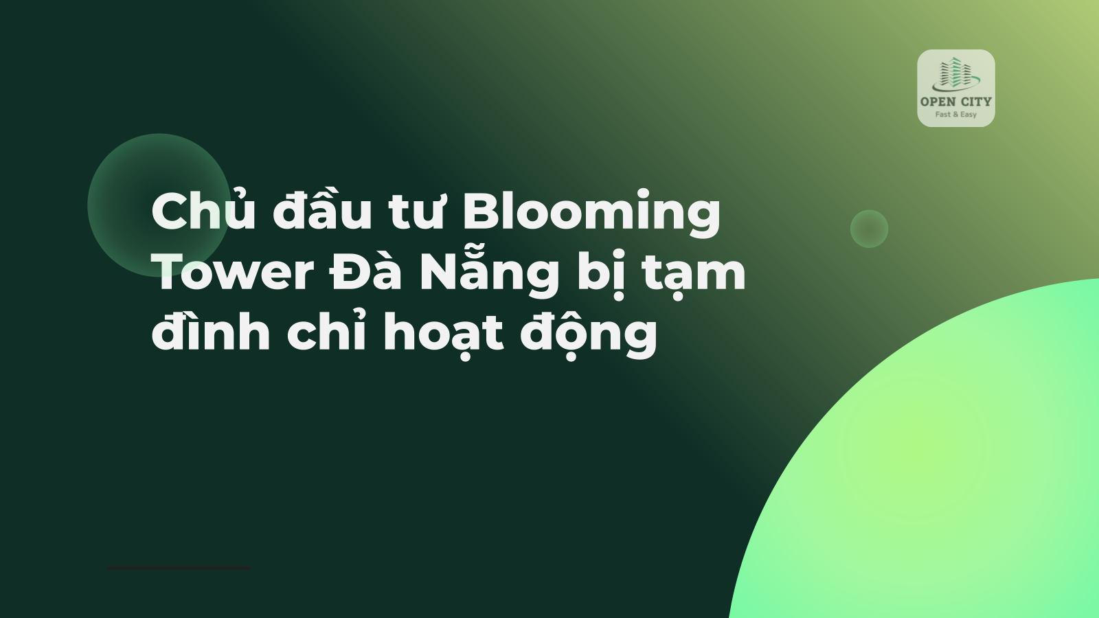 Chủ đầu tư Blooming Tower Đà Nẵng bị tạm đình chỉ hoạt động 1 4903