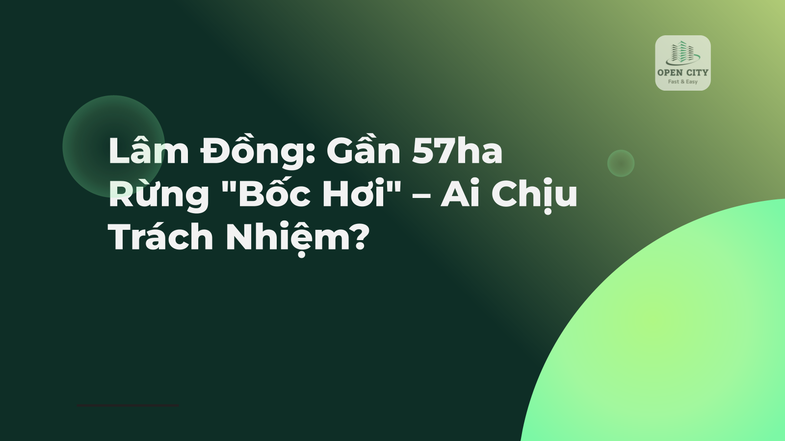 Lâm Đồng: Gần 57ha Rừng "Bốc Hơi" – Ai Chịu Trách Nhiệm? 1 5218